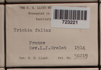 Image Associated With the Occurence